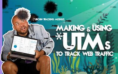 Making & Using UTMs To Track Web Traffic